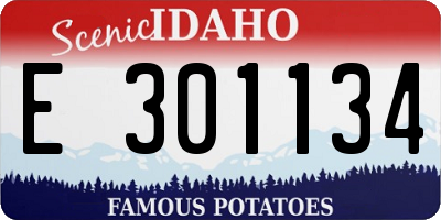ID license plate E301134