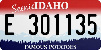 ID license plate E301135