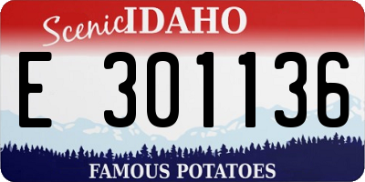 ID license plate E301136