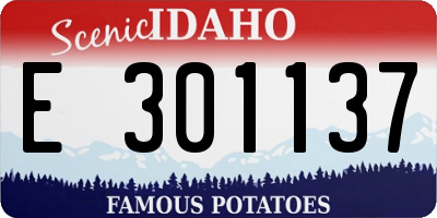 ID license plate E301137