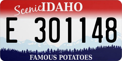 ID license plate E301148