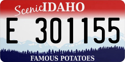ID license plate E301155
