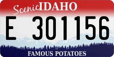 ID license plate E301156