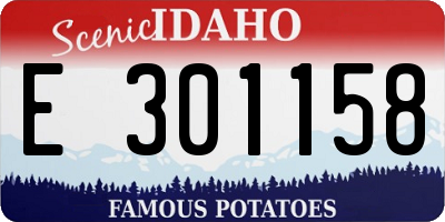 ID license plate E301158