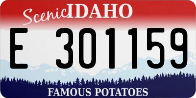 ID license plate E301159