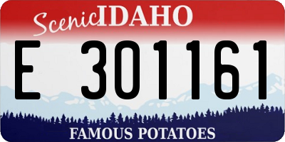 ID license plate E301161
