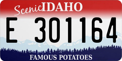 ID license plate E301164