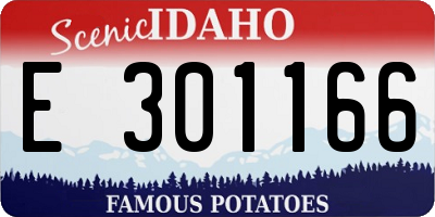 ID license plate E301166