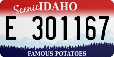 ID license plate E301167