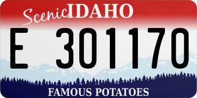 ID license plate E301170