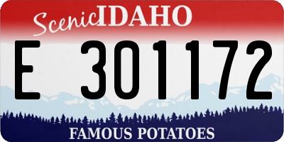ID license plate E301172