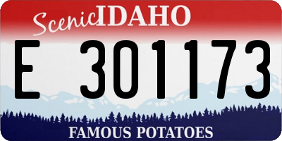 ID license plate E301173