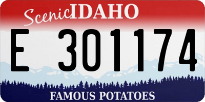 ID license plate E301174