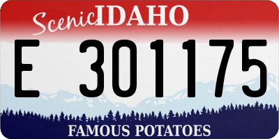 ID license plate E301175