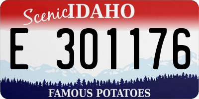 ID license plate E301176