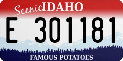 ID license plate E301181