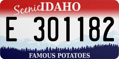 ID license plate E301182