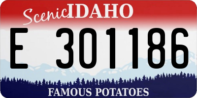 ID license plate E301186