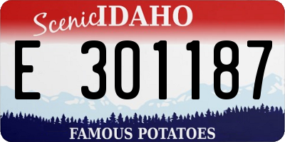 ID license plate E301187