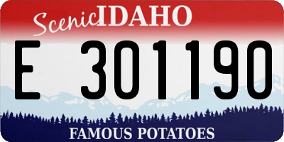 ID license plate E301190