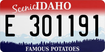 ID license plate E301191