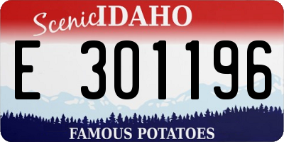 ID license plate E301196