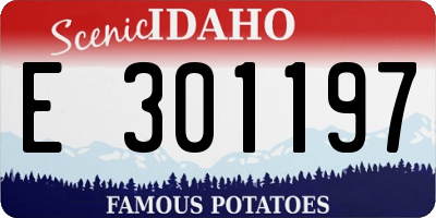 ID license plate E301197