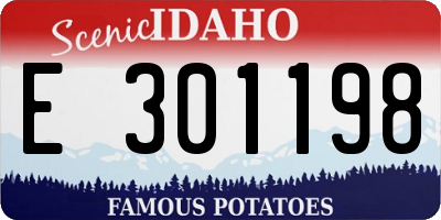 ID license plate E301198