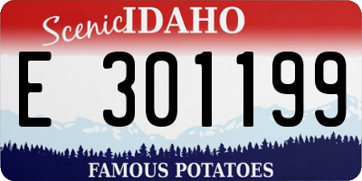 ID license plate E301199