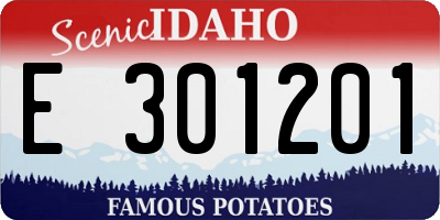 ID license plate E301201