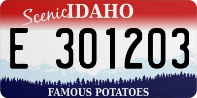 ID license plate E301203