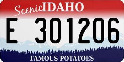 ID license plate E301206