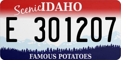 ID license plate E301207
