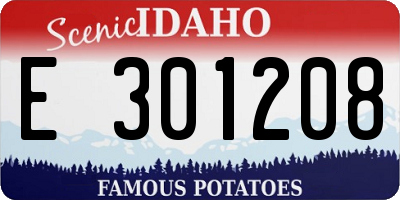 ID license plate E301208