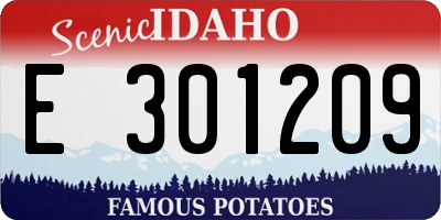 ID license plate E301209