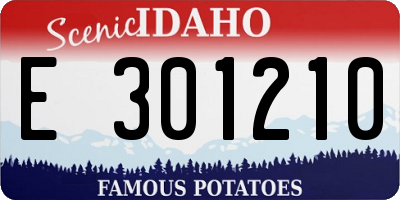 ID license plate E301210