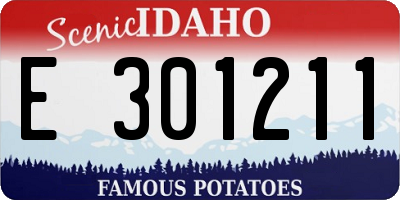 ID license plate E301211