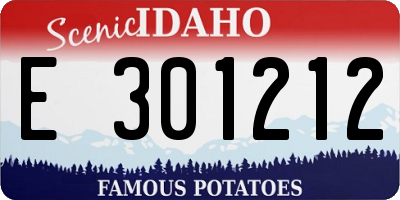 ID license plate E301212