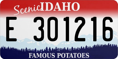 ID license plate E301216
