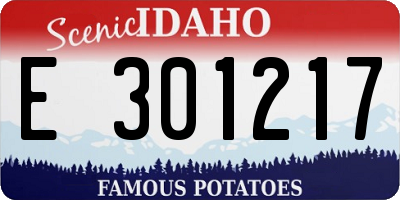 ID license plate E301217