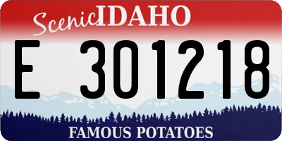 ID license plate E301218