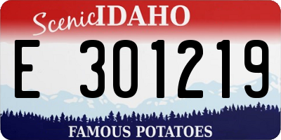 ID license plate E301219