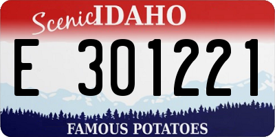 ID license plate E301221