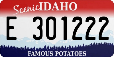 ID license plate E301222