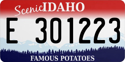ID license plate E301223