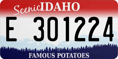 ID license plate E301224
