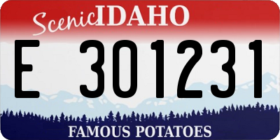 ID license plate E301231