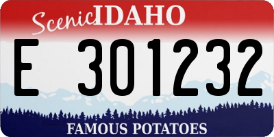 ID license plate E301232