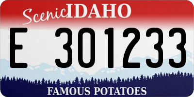 ID license plate E301233