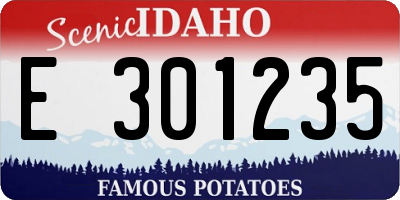ID license plate E301235